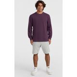 O'neill Truien O'neill Small Logo Crew