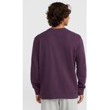 O'neill Truien O'neill Small Logo Crew