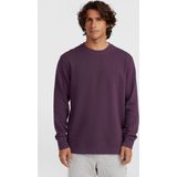 O'neill Truien O'neill Small Logo Crew