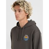 O'Neill - Og Sun - Hoodie