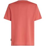 O'Neill - Hybrid Logo Polygiene - T-shirt - Red Orcher