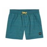 Zwembroek - Gestreept - All-over Patroon