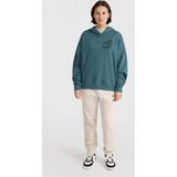 O'neill Truien the Future Surf Society Hoodie