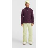 O'Neill - Hammer Regular - Skibroek - Lime Wash - 100% Polyester