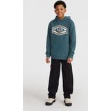 O'neill Truien O'neill Front Print Hoodie