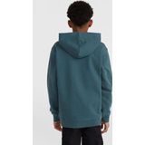 O'neill Truien O'neill Front Print Hoodie