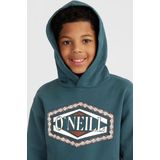 O'neill Truien O'neill Front Print Hoodie