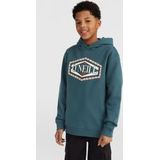 O'neill Truien O'neill Front Print Hoodie