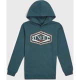 O'neill Truien O'neill Front Print Hoodie