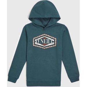 O'neill Truien O'neill Front Print Hoodie