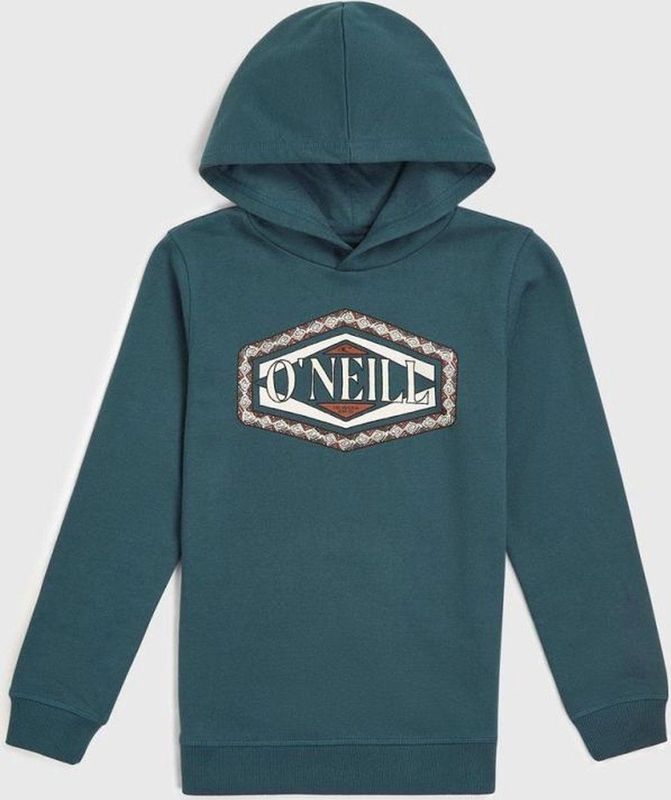 O'neill Truien O'neill Front Print Hoodie