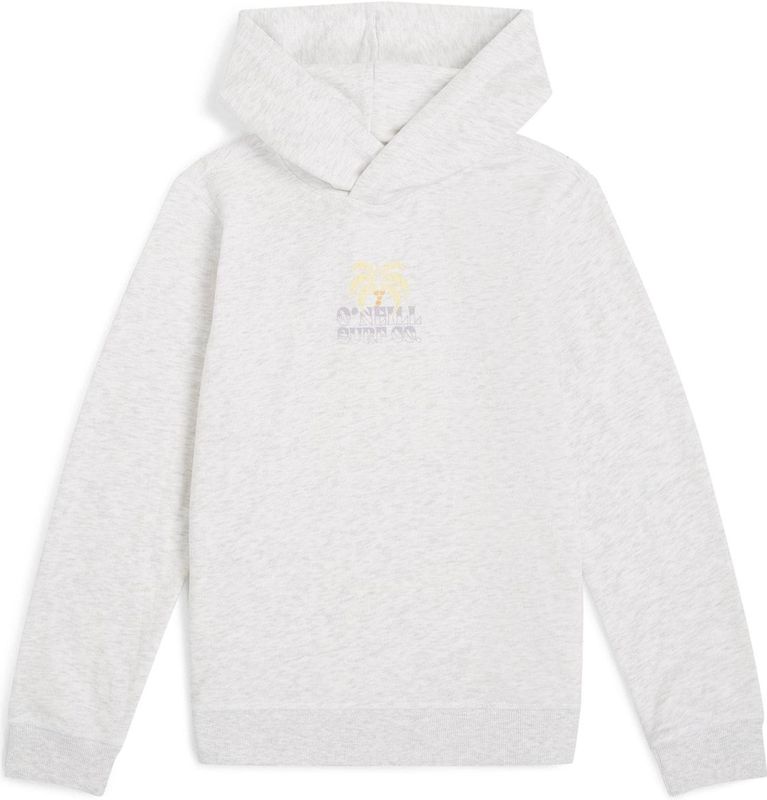 Back Print Hoodie - Meerkleurig - Katoen/Gerecycled Polyester