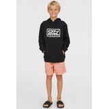 O´Neill - Logo Hoodie - Sweater - Blauw - Katoen