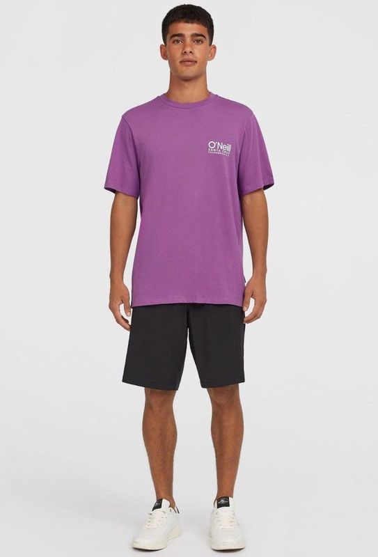 O'Neill - Hybrid Chino 19" - Zwembroek - Zwart