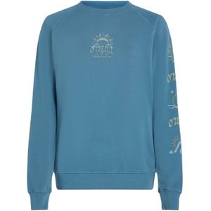 O'Neill - Beach Vintage Crew - Trui - Blauw - Dames