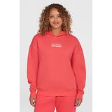 Future Surf Society - Hoodie - Grijs - Katoen - Artwork op de borst