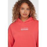 Future Surf Society - Hoodie - Grijs - Katoen - Artwork op de borst