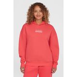 Future Surf Society - Hoodie - Grijs - Katoen - Artwork op de borst