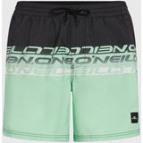 O'Neill - Cali Stripe 16'' - Zwembroek - Groen