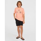 O'neill - Cargo Shorts - Katoen
