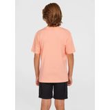 O'neill - Cargo Shorts - Katoen