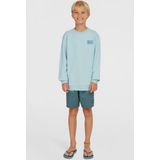 O'Neill - Logo Sweatshirt - Jongens - Zacht Katoen - Ronde Hals