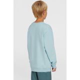 O'Neill - Logo Sweatshirt - Jongens - Zacht Katoen - Ronde Hals