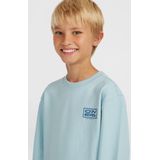O'Neill - Logo Sweatshirt - Jongens - Zacht Katoen - Ronde Hals