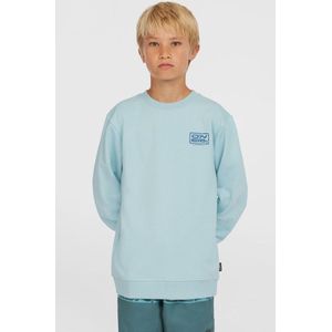 O'Neill - Logo Sweatshirt - Jongens - Zacht Katoen - Ronde Hals