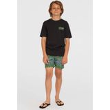 O'Neill Cali Zwemshort - Groen - Zwart - Blauw - 100% Polyester