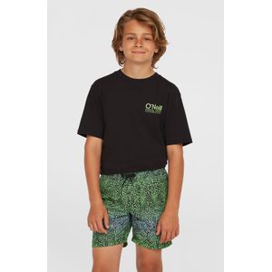 O'Neill Cali Zwemshort - Groen - Zwart - Blauw - 100% Polyester
