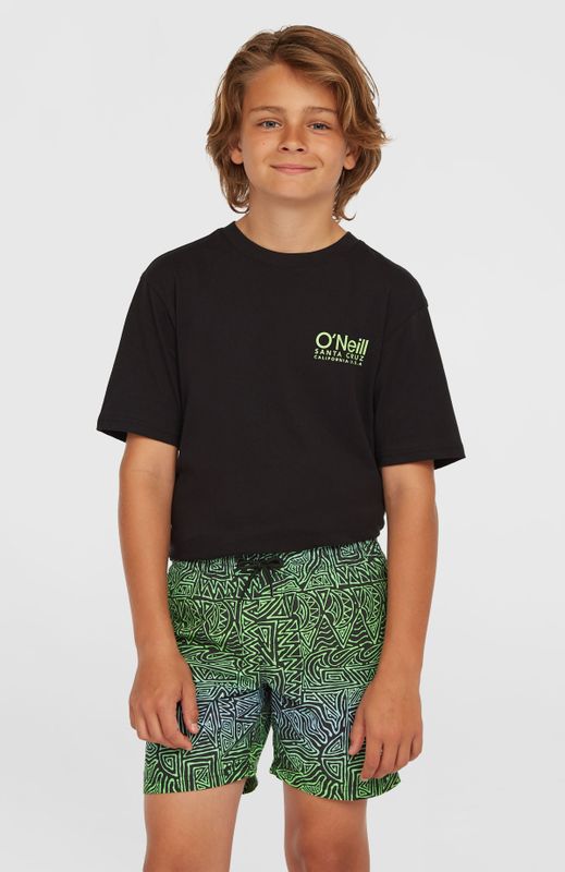 O'Neill Cali Zwemshort - Groen - Zwart - Blauw - 100% Polyester