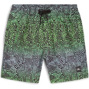 O'Neill Cali Zwemshort - Groen - Zwart - Blauw - 100% Polyester