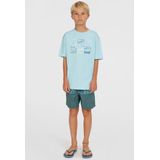 O'Neill Cali Stripe 14'' Zwembroek  - Jongens - Blauw - Maat: 152