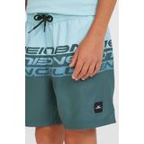 O'Neill Cali Stripe 14'' Zwembroek  - Jongens - Blauw - Maat: 152