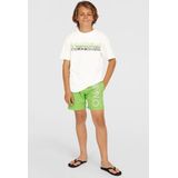 O'Neill - Original Cali - Zwembroek - Blauw - 50% Gerecycled Polyester