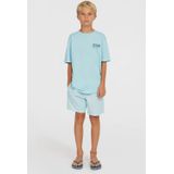 O'Neill - Vert - Zwembroek - 14 inch