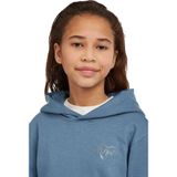 O'neill - Essentials Hoodie - Capuchon - Geborstelde Binnenkant