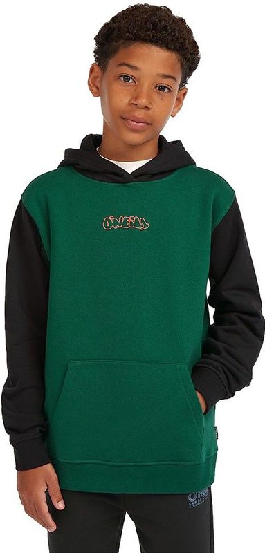 O'neill - Fwc Play - Hoodie