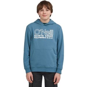 O'neill - Essentials Hoodie - Katoen - Comfortabele Capuchon