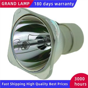 308942/Lamp Type 3 Vervangende Projector Lamp/Lamp Voor Ricoh Pj WX4130/Pj WX4130N/Pj WX4130Ni