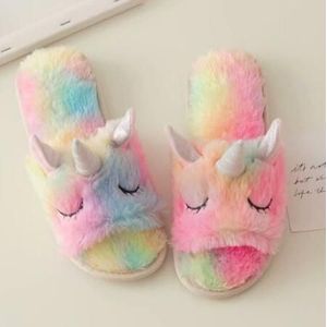 Winter Roze eenhoorn thuis slippers vrouwen warm katoen slepen pluche hoofd mute antislip slippers