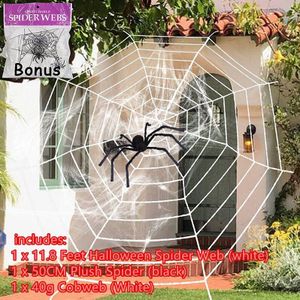 Zwarte Pluche Spin Web Stretch Spinneweb Set met Realistisch Uitziende Harige Spider, Beste voor Halloween Spookhuis Partij Decoratie
