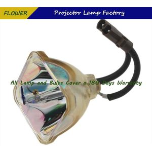 TLPLV3 Projector Kale Lamp Voor TOSHIBA TLP-S10U/TLP-S10/TLP-S10D