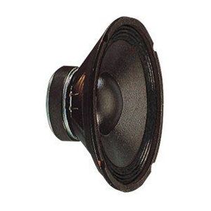 20 Cm Diameter Fonestar Speaker, 100 W Rms, 8 Ohm, 91 Db Gevoeligheid, 20 Oz Magneet