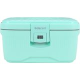 Decent Axiss-Fix Beautycase - Pastel Groen