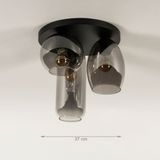 Zwart - Plafondlamp - Rookglas - Drie Vormen