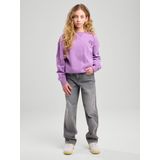 America Today - Jeans - Grijs - Katoen - Rechte Pasvorm