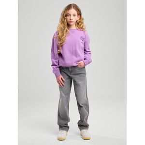 America Today - Jeans - Grijs - Katoen - Rechte Pasvorm