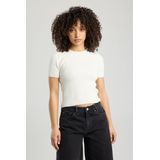 America Today Ebbi - Dames Top - Maat M